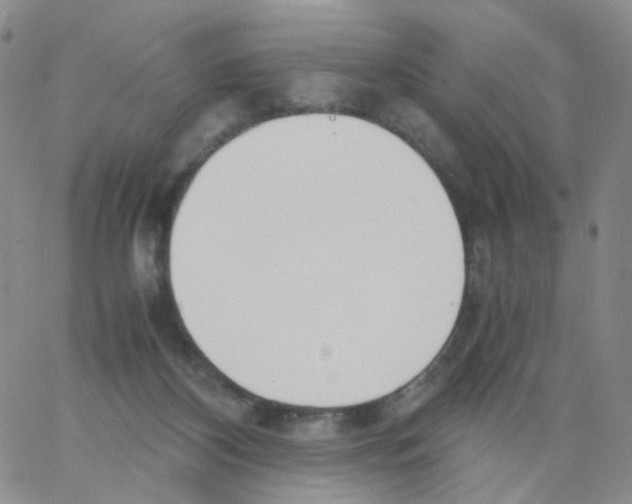 X0000062900116200602101817