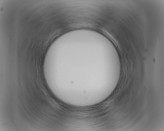 X0000062900117200602101817