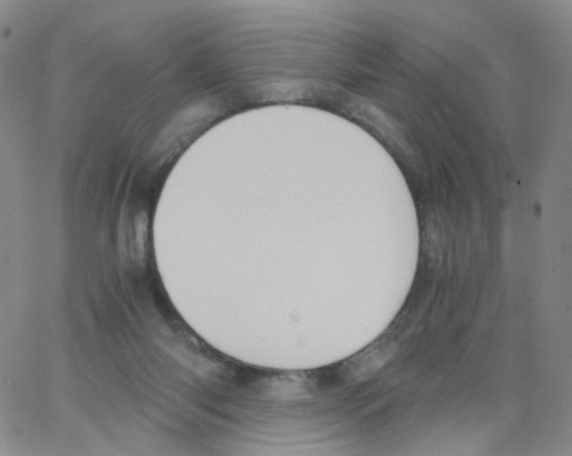 X0000062900118200602101817