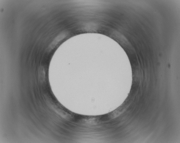 X0000062900120200602101817