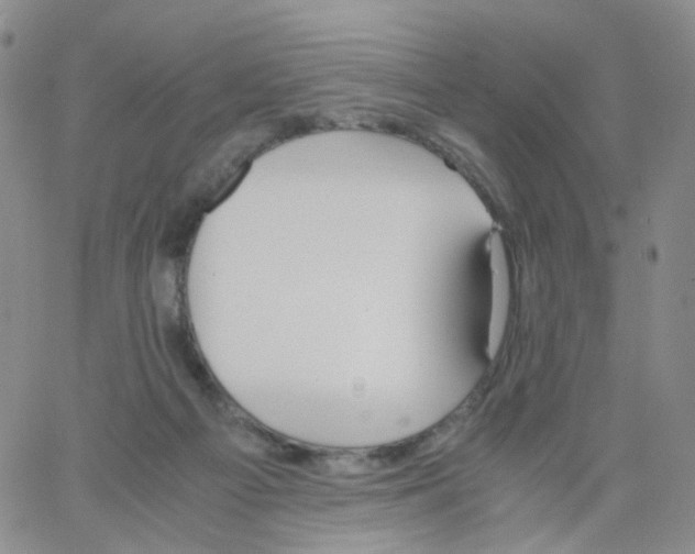 X0000062900121200602101817