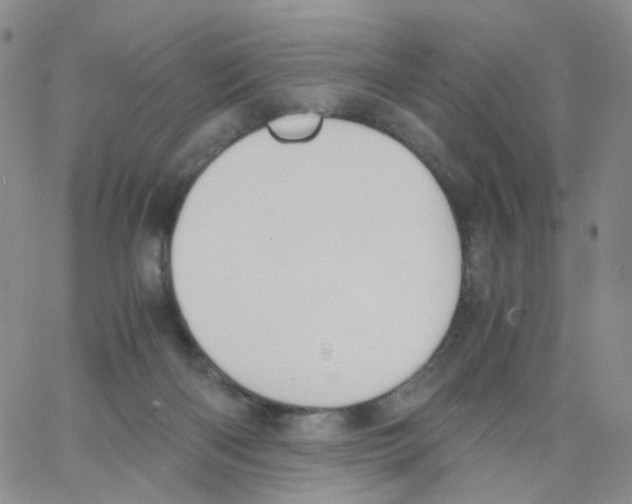 X0000062900122200602101817