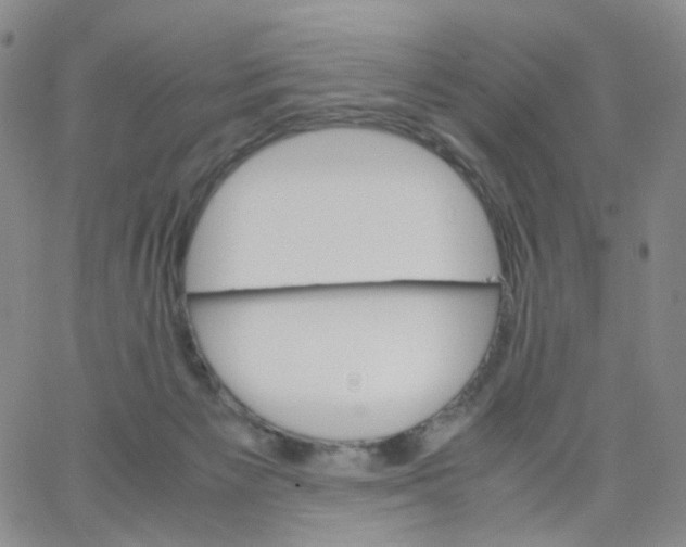 X0000062900125200602101816