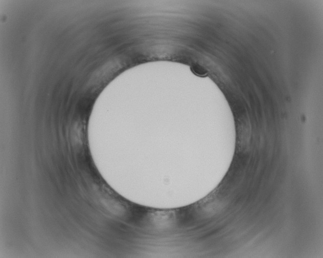 X0000062900126200602101816