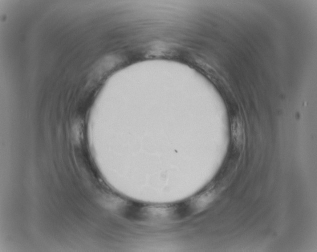 X0000062900127200602101816