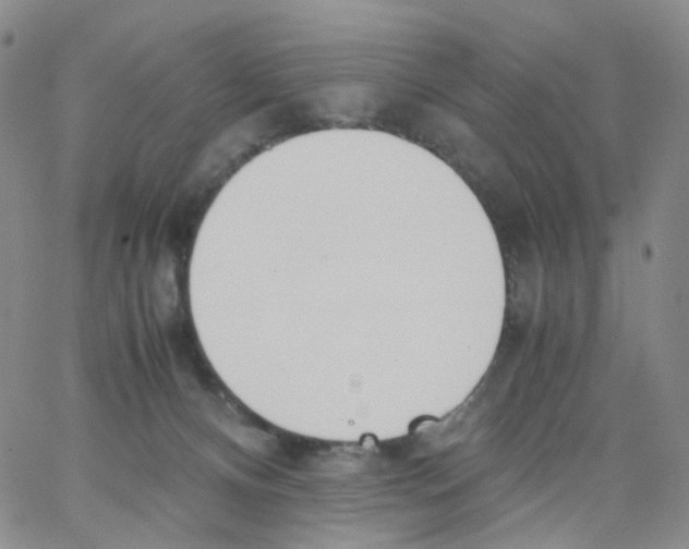 X0000062900128200602101816