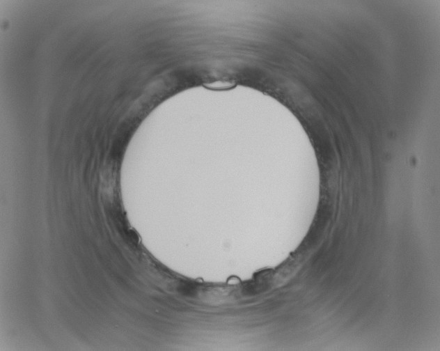 X0000062900129200602101816