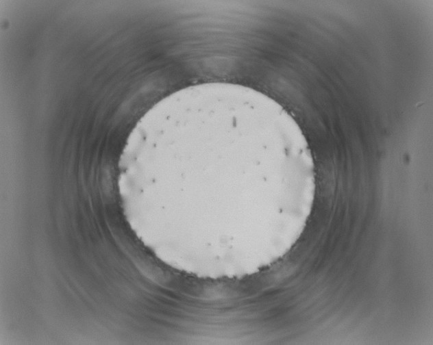 X0000062900130200602101816