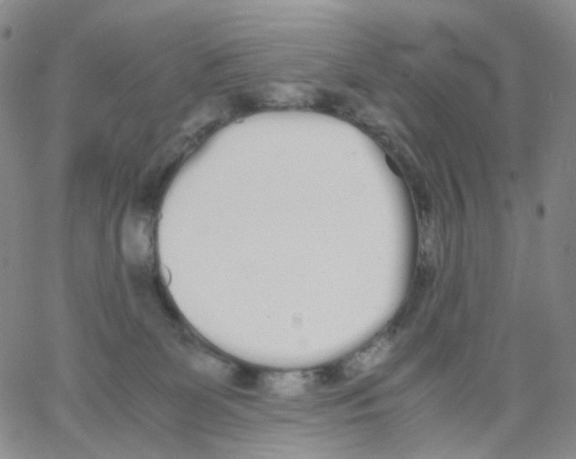 X0000062900131200602101816