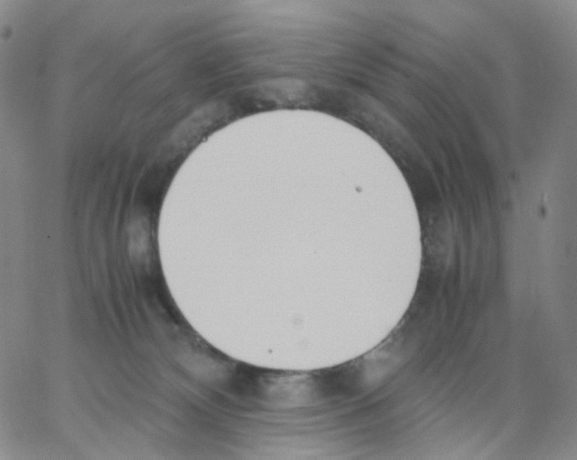 X0000062900132200602101816