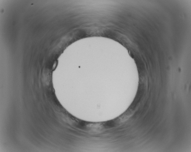 X0000062900133200602101816