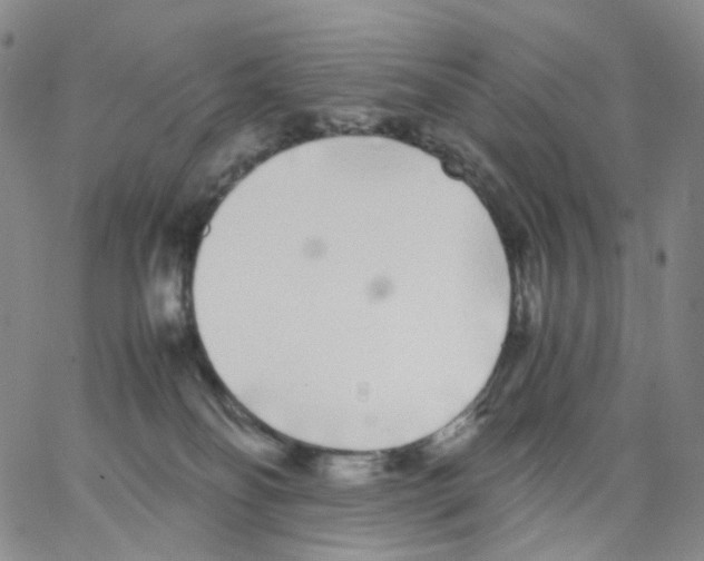 X0000062900134200602101816