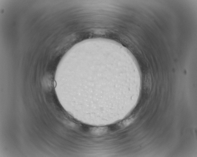 X0000062900135200602101816