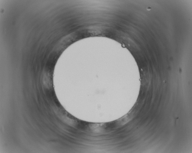 X0000062900136200602101816