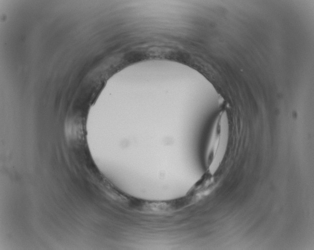 X0000062900137200602101816