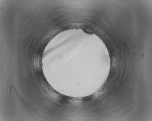 X0000062900138200602101816