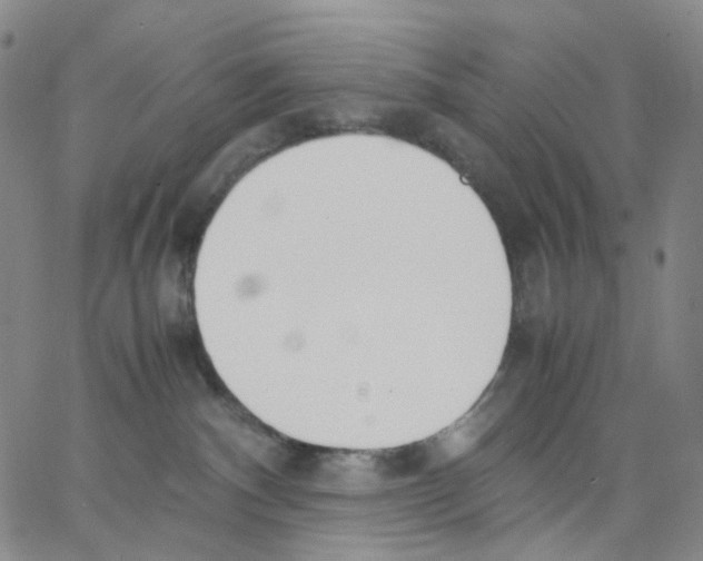 X0000062900140200602101816