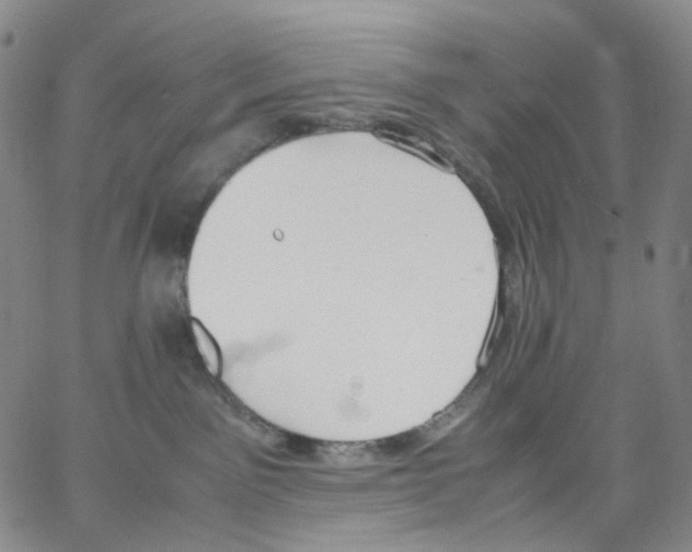 X0000062900141200602101816