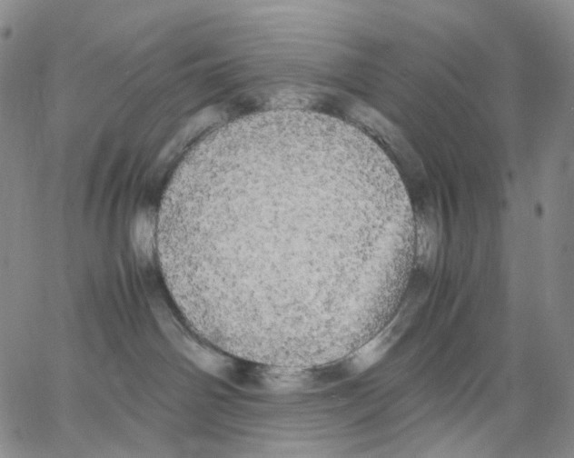 X0000062900142200602101816