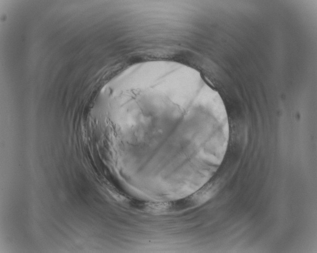 X0000062900143200602101816