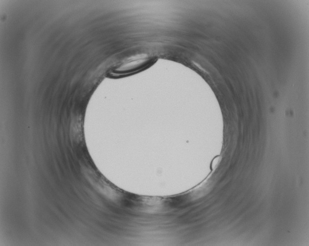 X0000062900144200602101816