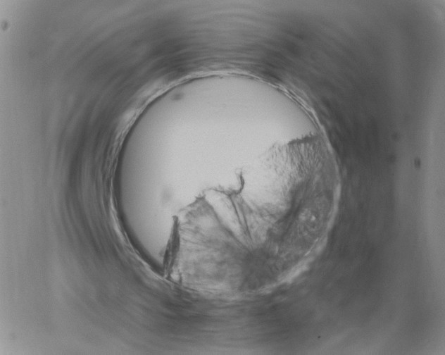 X0000062900145200602101815