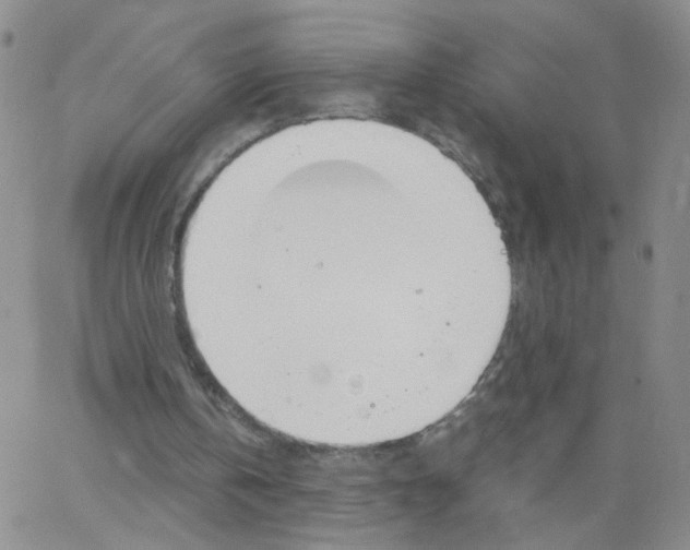 X0000062900146200602101815