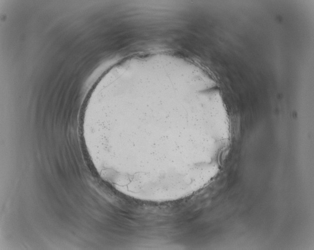 X0000062900147200602101815