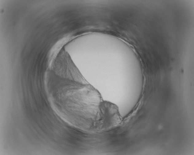 X0000062900149200602101815