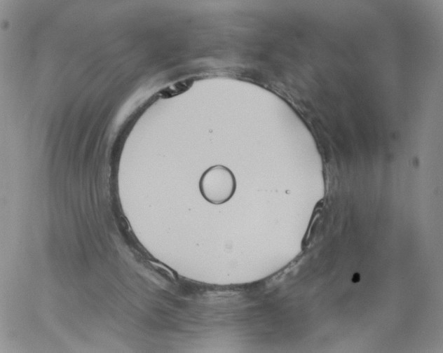 X0000062900150200602101815