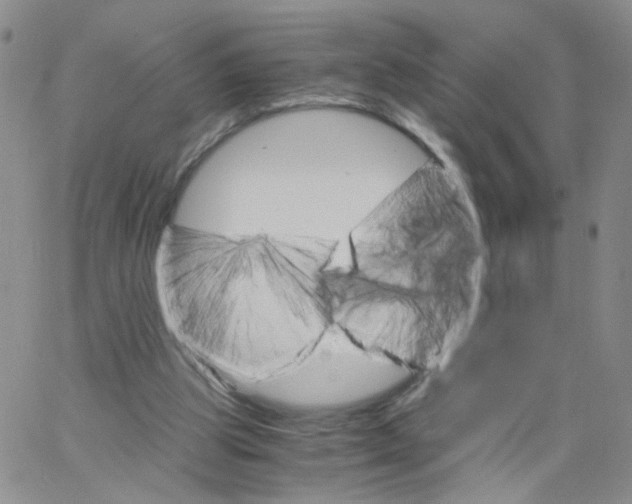 X0000062900153200602101816