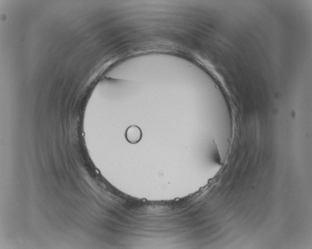 X0000062900154200602101816