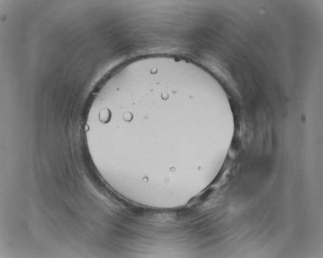 X0000062900156200602101816