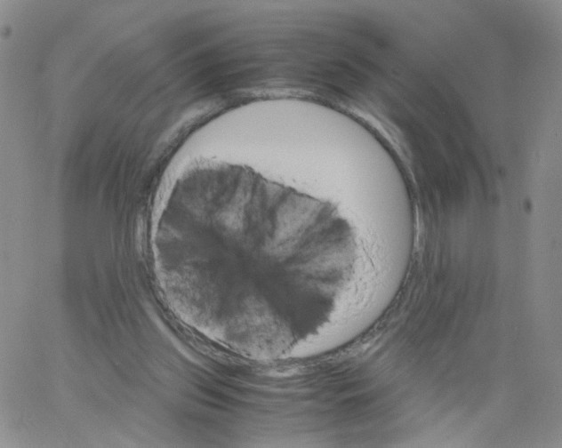 X0000062900157200602101816