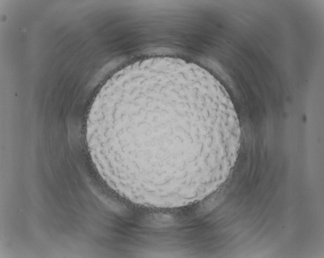 X0000062900159200602101816