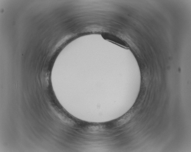 X0000062900160200602101816