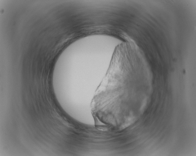 X0000062900161200602101816