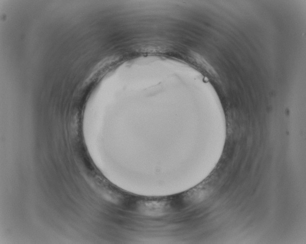 X0000062900163200602101816