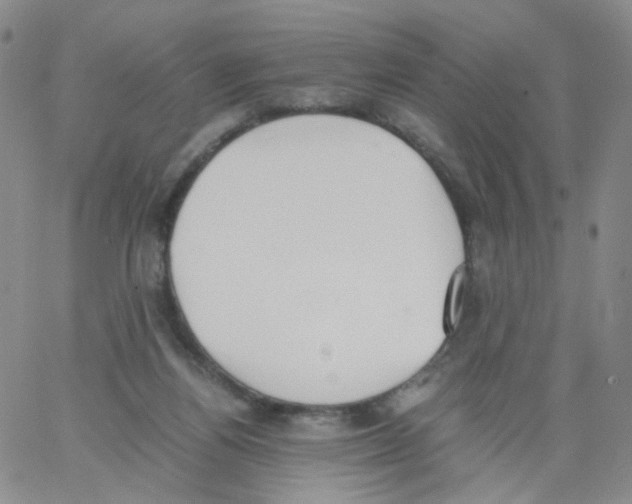 X0000062900164200602101816