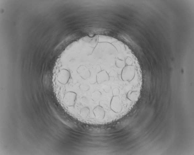 X0000062900165200602101816