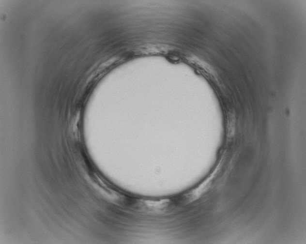 X0000062900166200602101816