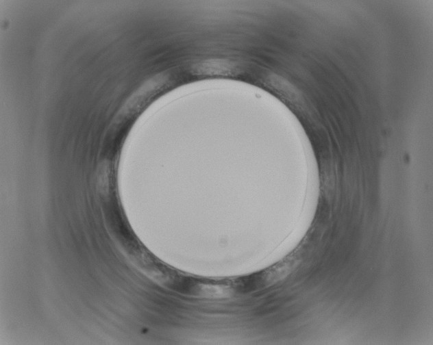 X0000062900167200602101816