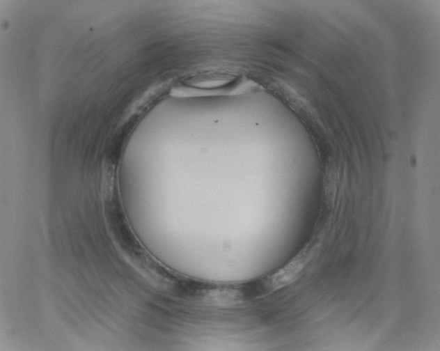 X0000062900168200602101816