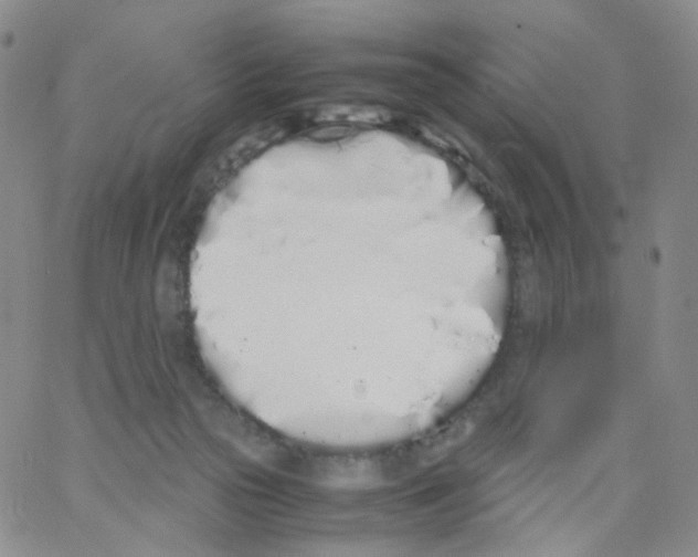 X0000062900169200602101816