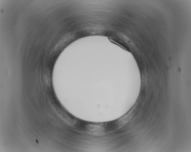 X0000062900170200602101816