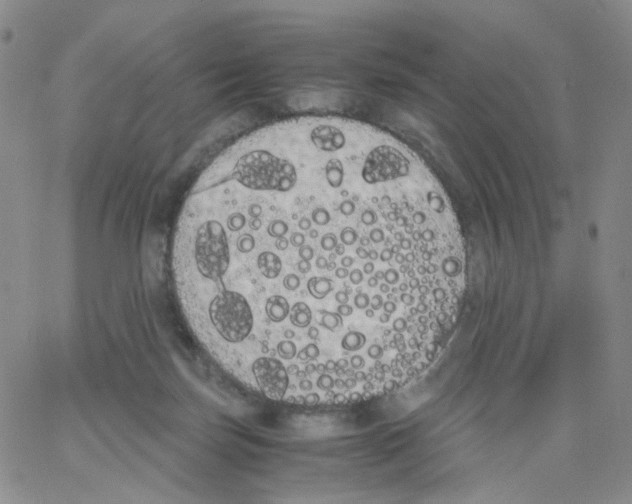 X0000062900171200602101816