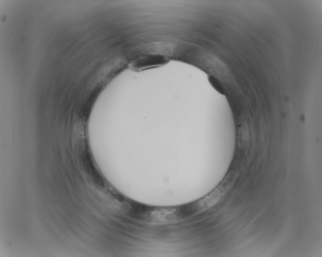 X0000062900172200602101816