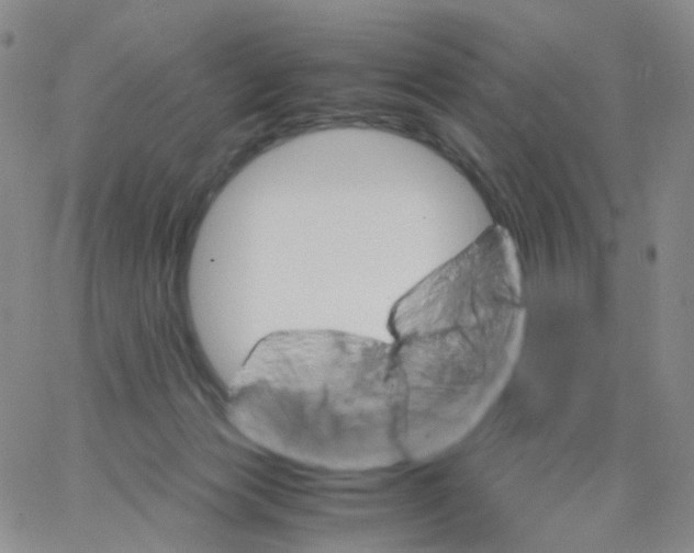 X0000062900173200602101816