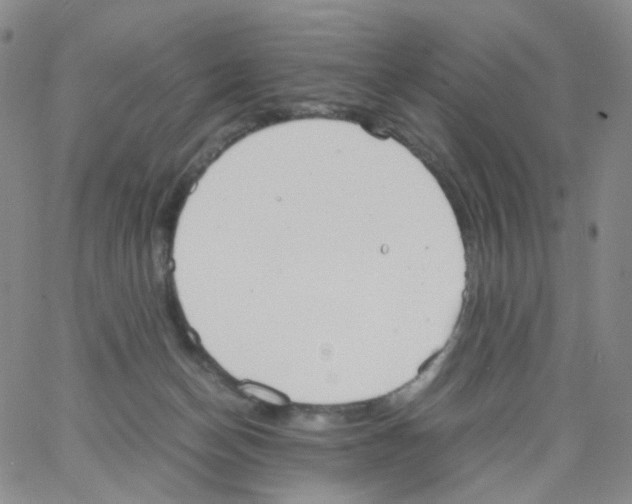 X0000062900174200602101816