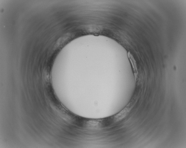 X0000062900176200602101816